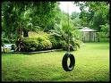 Picture for song 'Old Tire Swing' by artist 'Pete Gallatin'