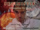 Picture for song '*Album Preview* Blue Skies (Snippet)' by artist 'Pezimistik'