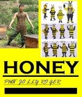 Picture for song 'HONEY' by artist 'phat jolly roger'