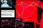 Picture for song 'NOTHING WRONG' by artist 'phat jolly roger'