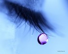 Picture for song 'Help Me Forget You (Instrumental)' by artist 'Piano Man Productions'