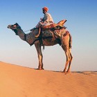 Picture for song 'ahab' by artist 'PIMPISHSLAPS ENT.'