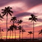 Picture for song 'gongin' by artist 'PIMPISHSLAPS ENT.'