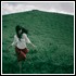 Picture for song 'Everlasting' by artist 'Pizzi'