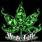 Picture for song 'Till Ya Eyez Bleed - P.$' by artist 'Playaz Society'