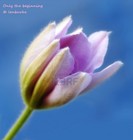 Picture for song 'Only the beginning' by artist 'Plaza7'