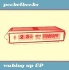 Picture for song 'Falling Leaves' by artist 'Pocketbooks'