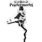 Picture for song 'Poldermodel - Niemand' by artist 'Poldermodel'