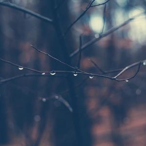 Picture for song 'Feelings' by artist 'P.R Beats'