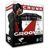 Picture for song 'Platinum Crunk Grooves' by artist 'Prime Loops'