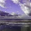 Picture for song 'Atlantic-live (ft. Smidi USA)' by artist 'princess eldi'