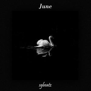 Picture for song 'June - ArrDee x Guitar Drill Type Beat' by artist 'SG Beatz'