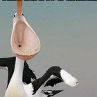 Picture for song 'Fallen' by artist 'Professor Insane and the Stolen Cheese'