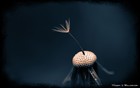Picture for song 'Lonely heart' by artist 'Project 07 (Blinchik)'