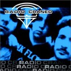 Picture for song 'solo cien veces' by artist 'RADIO CRANEO'