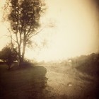 Picture for song 'Roads Untraveled' by artist 'RADIO-LAB'