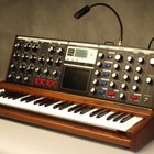 Picture for song 'Mr. Moog (Electronic)' by artist 'Rapter'