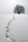 Picture for song 'SOLD | WALK AWAY' by artist 'Real Talk Beatz'