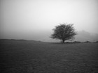Picture for song 'Acepting Evil (Cortosis) Re-Make' by artist 'Re-Mixed By The Devil'
