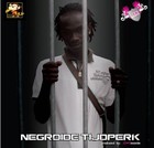 Picture for song '06 - R.E.T.J.E. - Droom Meid (ft Ray Jay)' by artist 'R.E.T.J.E.'