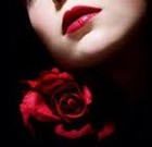 Picture for song 'Too Marvellous' by artist 'Rex Reynolds'