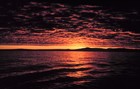 Picture for song 'The War Acoustic' by artist 'Richard Ashtear'