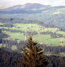 Picture for song 'A Distant Spring Storm' by artist 'Richard Rayer'