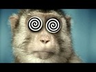 Picture for song 'GOINbananas' by artist 'RighteousX'