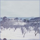 Picture for song 'Honeymoon' by artist 'Rinaldo'