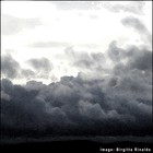 Picture for song 'Oh Dear.mp3' by artist 'Rinaldo'