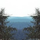 Picture for song 'Strong Breeze' by artist 'Rinaldo'