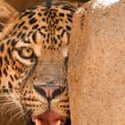 Picture for song 'Around the corner' by artist 'RioBproduction'