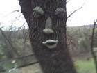 Picture for song 'Whoa!' by artist 'Rockwell Productions'