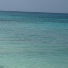 Picture for song 'Rod Danz-Diana' by artist 'Rod Danz'