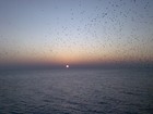 Picture for song 'forever' by artist 'roger lewis'