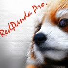 Picture for song 'Triumph' by artist 'Ronnie Tsunami'