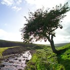 Picture for song 'You are Good' by artist 'Ryan's stuff'