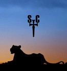 Picture for song 'K9' by artist 'Saint C'