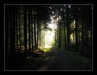 Picture for song 'We Wonder' by artist 'SamyFresh'