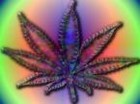 Picture for song 'I feel so high (with hook)' by artist 'Santino Beats'
