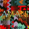 Picture for song 'Amani' by artist 'SaReGaMa'