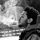 Picture for song 'Vent | (SS x SM)' by artist 'Scott Styles'