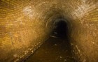 Picture for song 'Party in the Sewers' by artist 'Scraped off the Bottom'