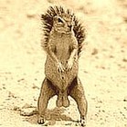 Picture for song 'They Drag the Ground!' by artist 'Scuzzo'