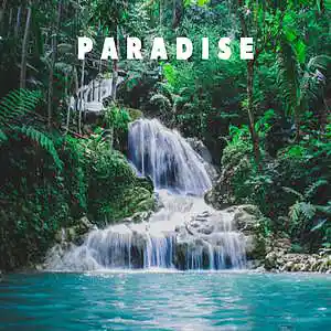 Picture for song 'Paradise' by artist 'Sean Ferree'