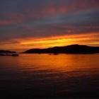 Picture for song 'Experimental Sunrise' by artist 'C-weed Champion'