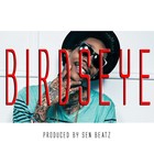 Picture for song 'Birdseye (produced by @senbeatz)' by artist 'Sen Beatz'