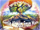 Picture for song 'Willow Song (Definitive Mix)' by artist 'Senile Kippers From Mars'