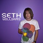 Picture for song 'Dissemble' by artist 'Seth Williams'