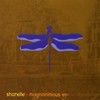 Picture for song 'A Lifetime Isn't Long Enough' by artist 'Sharelle'